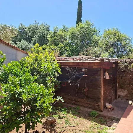 Villa Terracotta Terrasini Centro *