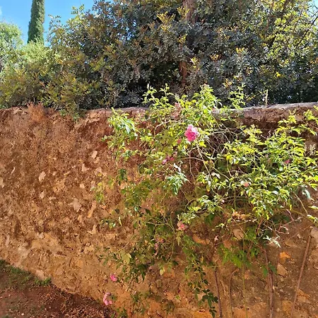 Terracotta Terrasini Centro Villa Cinisi